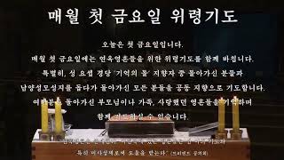 남양성모성지 / 2025. 1. 3 / 예수 성심 신심 미사 / 위령기도 / 미사(홍승국 이사야 신부 집전)