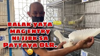 BALAK ATA MAG ENTRY NI JJBK SA PATTAYA OLR  |Reggie Cruz Loft \u0026 Aviary #reggiecruzloftandaviary