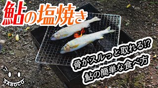 鮎の塩焼き　骨がスルっと取れる簡単な食べ方　【アウトドア料理】