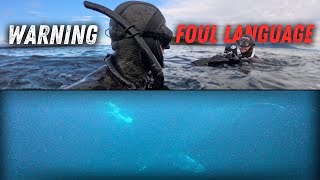 Humpback Whale Encounter While Freediving British Columbia (Raw Footage)