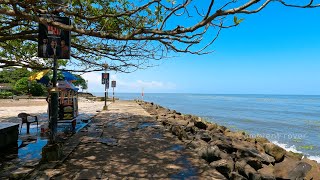 Fort Kochi Beach Kerala: A Breath-taking Walking Tour in 4K