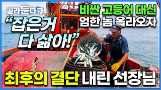 기껏 잡은 고등어 삶아버리라는 선장의 호통│고등어 대신 상어 떼 잡혀 올라오자 화가 난 선장│아르헨티나 고등어 잡이│인간과 바다│#골라듄다큐