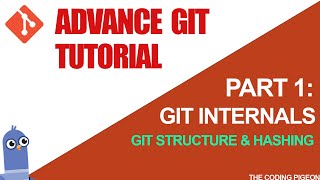 #1 Git Internal (blob structure & hashing) - Git Tutorial