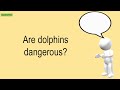 Are Dolphins Dangerous