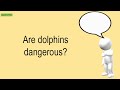 Are Dolphins Dangerous