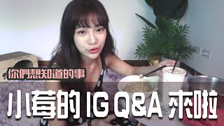 小莓的 Instagram Q\u0026A 來啦！在新攝影棚悠哉吃麵回答問題~【小生活Vlog】｜貝莉莓