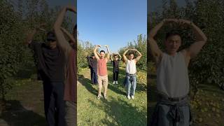 Apple dance at apple picking! Who’s the bad apple? 🍏 青蘋果樂園🍎 #apple #applepicking #dance