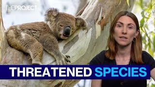 Australia's Extinction Crisis: A Fight for Survival