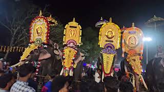 ഭീമനാട് പൂരം#festival bheemanad @2024