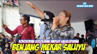 KOKOSODAN GOGOLERAN MEDLEY SAGULUYURNA || BENJANG MEKAR SALUYU - LIVE BABAKAN PASIR ANGIN