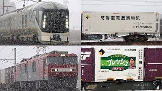 【ENG SUB】東北本線貨物列車とTRAIN SUITE 四季島・４本