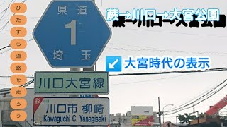 【埼玉県道】蕨→川口→大和田→大宮公園をひたすら走る🚴‍♂️(3.0倍速)