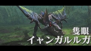 【MHX】隻眼狩猟依頼１　エリアルX操虫棍【ソロ】