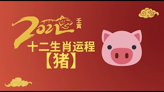 接受福气，受得起就飞！2022 壬寅年生肖运程【猪】Boar | Water Tiger