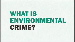 What is environmental crime?