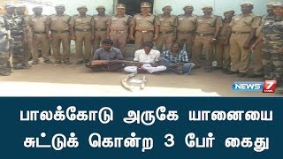 பாலக்கோடு அருகே யானையை சுட்டுக் கொன்ற 3 பேர் கைது