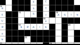 Crossword puzzles beat computer video games in slowing memory loss