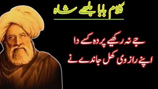 Baba Bulleh Shah Poetry/Bulleh Shah Kalam/Best Status Poetry/Shayari《Do Ghariyaan Ruk Ja Taqdeeray》
