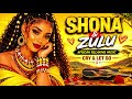 Romantic  Shona & Zulu Love Songs For Deep Romance & Intimate Moments🌙Gentle Amapiano Mix 2026✨