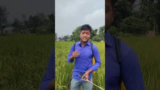 বাপ দাদার সয় সম্পত্তি কিছুই ছিলো না