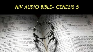 GENESIS 5 NIV AUDIO BIBLE (with text)