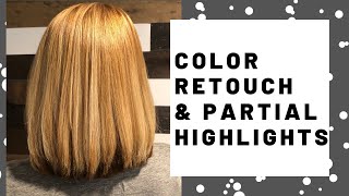 PARTIAL HIGHLIGHT \u0026 COLOR RETOUCH! \\\\ HAIR TUTORIAL