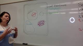 Introduction  to Cells- Vacuole \u0026 Lysosome