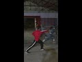 shaolin wubu quan kungfu shortvideo