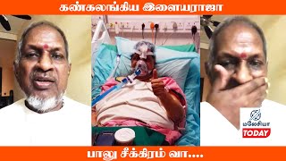 கண்கலங்கிய இளையராஜா பாலு சீக்கிரம் வா                        இறைவா 🙏🙏🙏