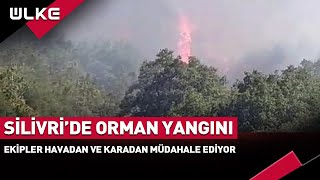 Silivri'de Orman Yangını! Ekipler Havadan ve Karadan Müdahale Ediyor