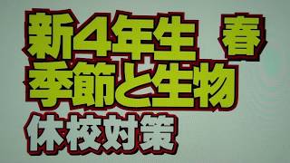 新４年生 季節と生物・春