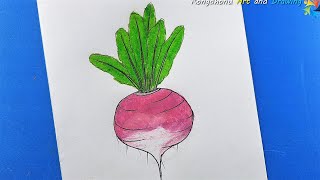 How to Draw Turnip | Vegetable Drawing | শালগম ড্রয়িং Easy