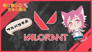 VALORANT 　フルパコラボ　足引っ張り過ぎないように頑張りたい所存