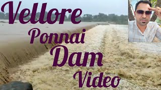 பொன்னை ஆறு ஓர் பார்வை  | Ponnai Palar River #dam #flood #palarriver #rainyday