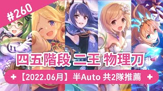 【An】6月 四五階段 二王 物理刀｜半Auto共2隊推薦｜公會戰/戰隊戰｜※公主連結