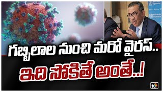 గబ్బిలాల నుంచి మరో వైరస్.. ఇది సోకితే అంతే..!: Wuhan Scientists Found New Coronavirus NeoCov | 10TV