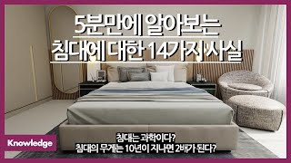 5분만에 알아보는 침대에 대한 14가지 사실 / 70000년 전에도 침대가 있었다? / 침대의 무게가 시간이 지나면 2배가 되는 이유? / 침대는 과학?