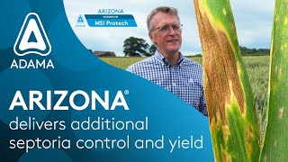 ARIZONA delivers additional septoria control and yield