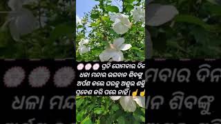 ଧଳା ମନ୍ଦାର ଅର୍ପଣ କରନ୍ତୁ ##shorts