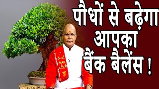 पौधों से बढ़ेगा आपका बैंक बैलेंस ! | Pandit Suresh Pandey | Darshan24