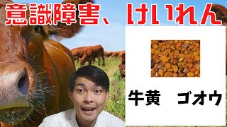 【漢方】牛黄（ゴオウ）１分で分かる生薬解説