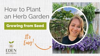 How to Plant an Herb Garden from Seed