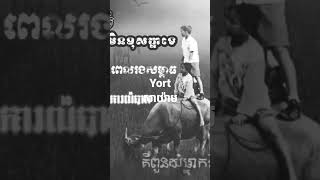 អស់សំណើចណាស់