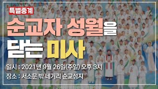 [특별중계] 순교자 성월을 닫는 미사 I 서소문 밖 네거리 순교성지 | 서울대교구 순교자현양위원회 위원장 정순택 베드로 주교 집전