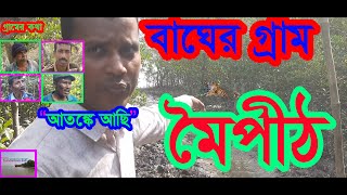 বাঘের গ্রাম মৈপীঠ  | Tiger attack | Sundarban livE