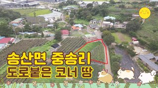 송산면 중송리 264평 계획관리지역 코너땅 투자하기좋은땅 매매