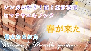 【ガーデニング】モルタル不要♬固めない♬置くだけレンガの花壇DIY🌸春のお庭の風景🍃