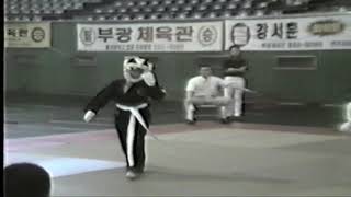 1996전국공수도\