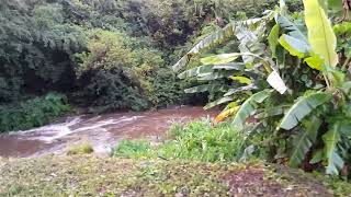 raining in Mauritius