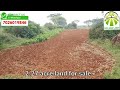 2.27 acre land for sale from gundlupet 4km.whatsapp 7026019846 agriculture landforsale